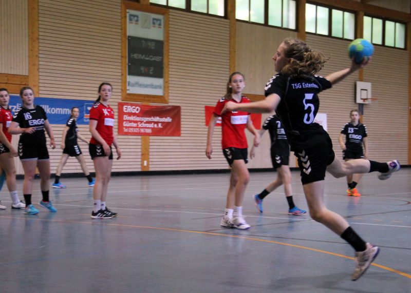 Die B-Jugend der TSG Estenfeld hat sich für für die Landesliga Nord 2016/17 qualifiziert.
